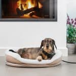 Fűthető kutya fekhely