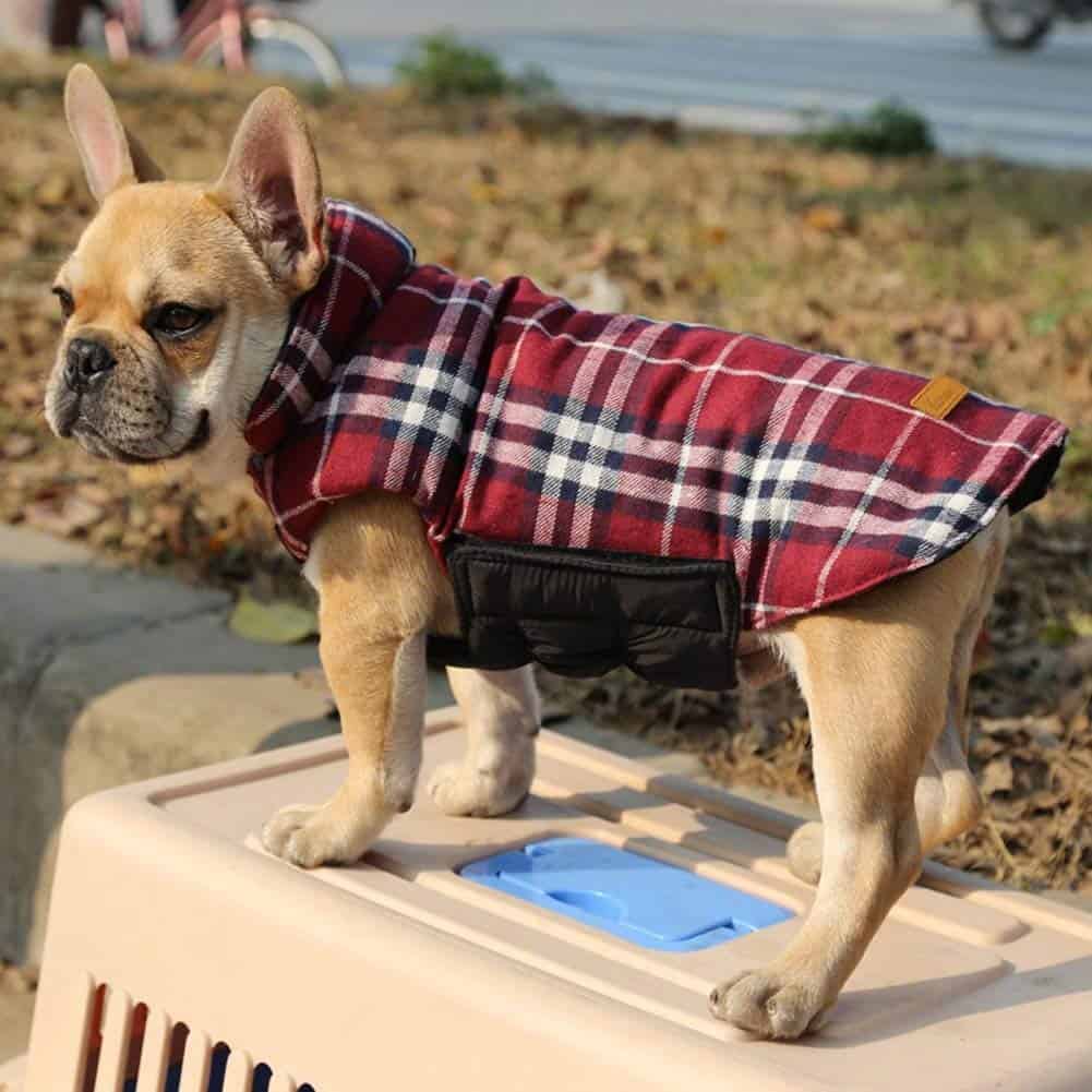 Kifordítható vízlepergető divatos kutyakabát