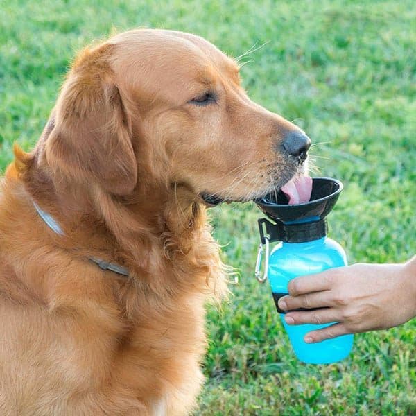 kutya itató vizes kulacs